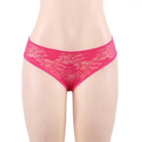 Bow Fronted Open Crotch Floral Lace Panties 4 in 1 Set